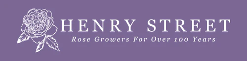 Henry Street Nursery